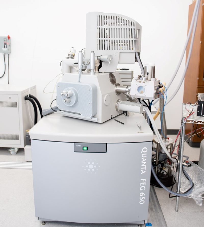 Quanta_650